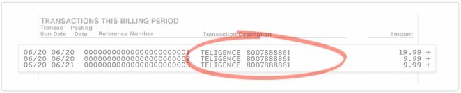 Sample of credit card statement - Teligence